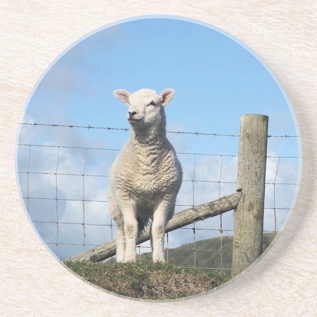 PORTA-COPOS OVINO DE BOVINO (Frente)