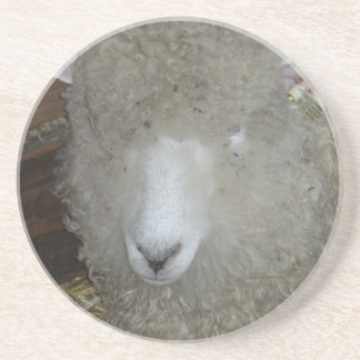 Porta-copos Ovinos na feira do condado