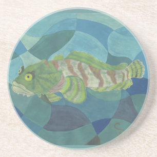 Porta-copos Oyster Toadfish