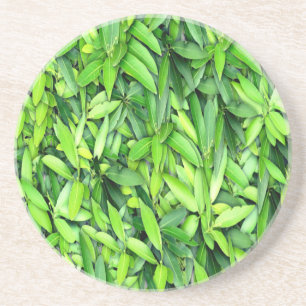 Porta-copos Padrão de Folhas Verde Lush - Botânica da Natureza