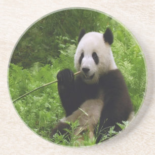 Porta-copos Panda