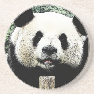 Porta-copos Panda