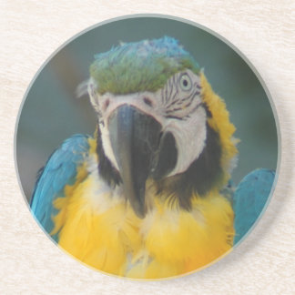 Porta-copos papagaio