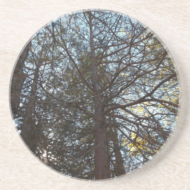 Porta-copos Para cima através das filiais (Frente)