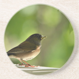 Porta-copos Pássaro no fundo das folhas verdes