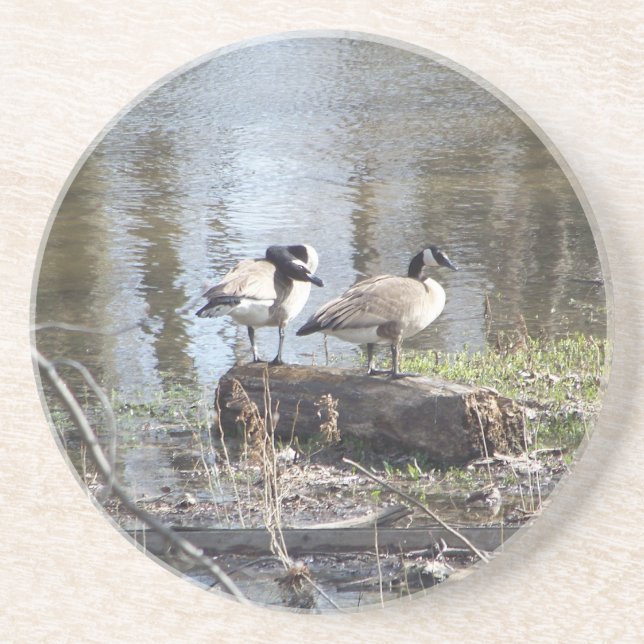 Porta-copos Pássaro sujo (Frente)