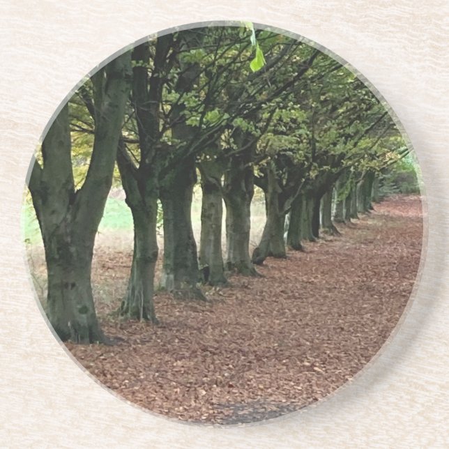 Porta-copos Passeio nos bosques     (Frente)