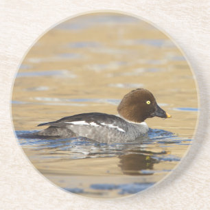 Porta-copos Pato-de-Goldeneye