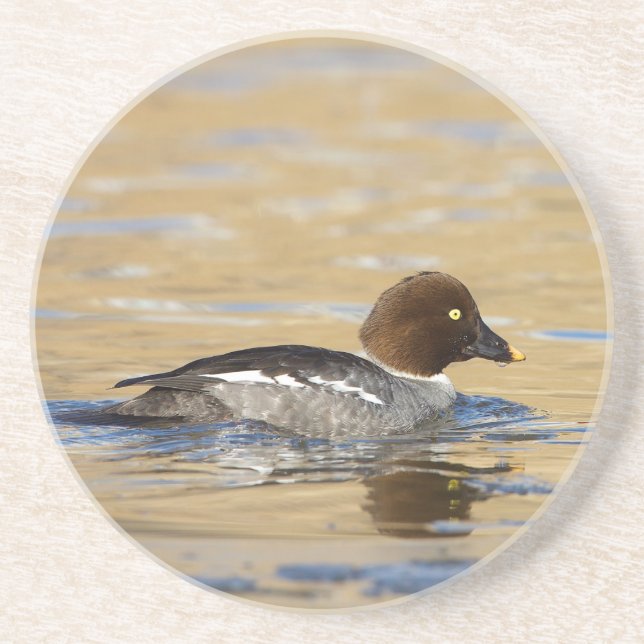 Porta-copos Pato-de-Goldeneye (Frente)