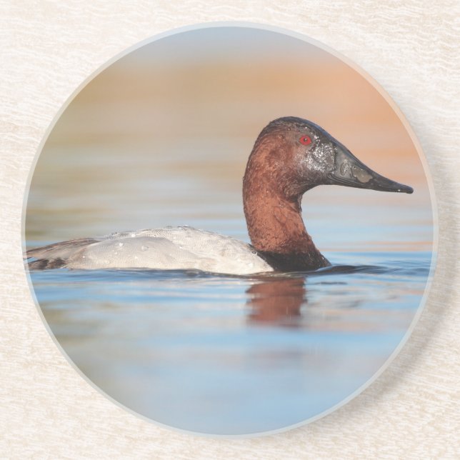 Porta-copos Pato Male Canvasback (Frente)