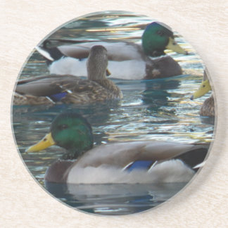 Porta copos - pato, pato, pato, pato