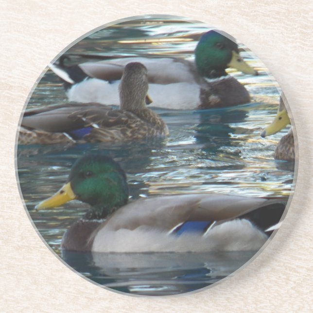 Porta copos - pato, pato, pato, pato (Frente)