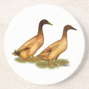 Porta-copos Patos: Campbell Khaki