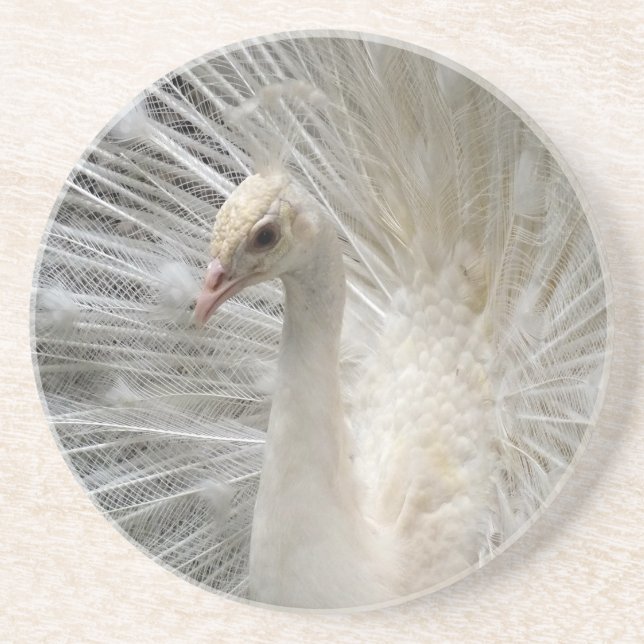 Porta-copos Pavão imperial (Frente)