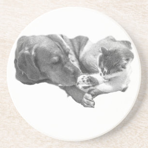 Porta-copos Paz compartilhada