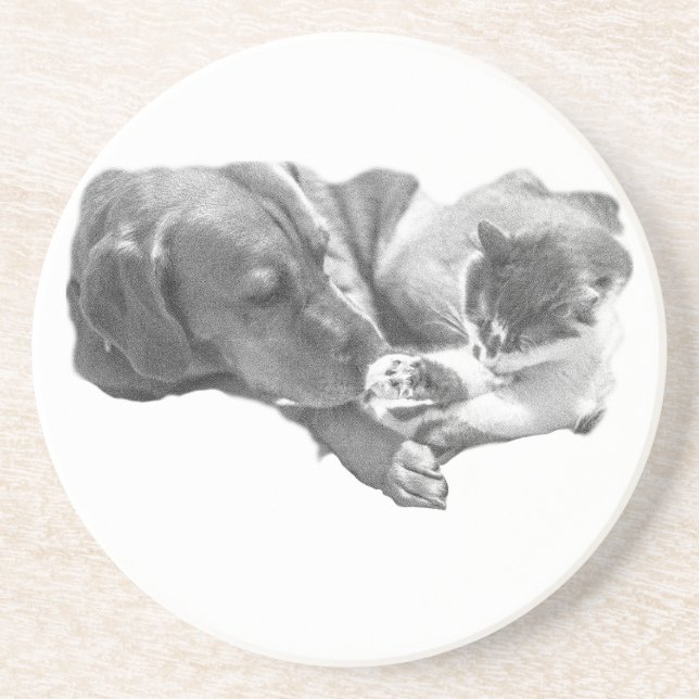 Porta-copos Paz compartilhada (Frente)