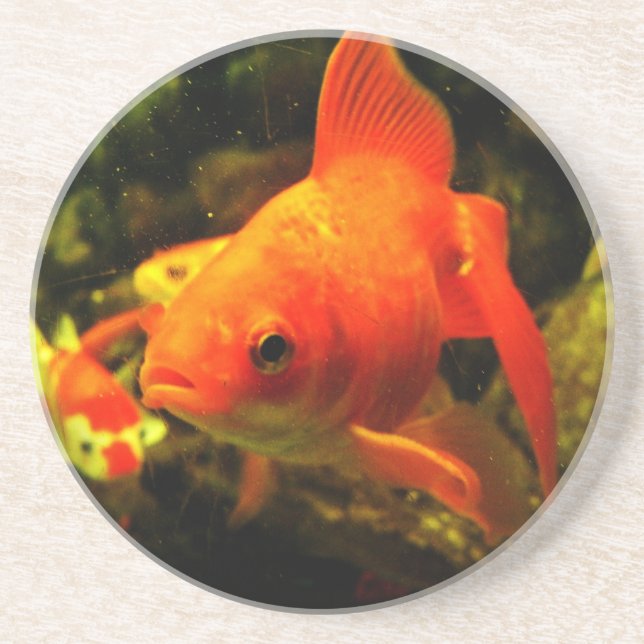 Porta-copos peixe ouro (Frente)