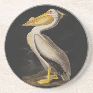 Porta-copos Pelicano Branco de Audubon - Impressão Vintage de