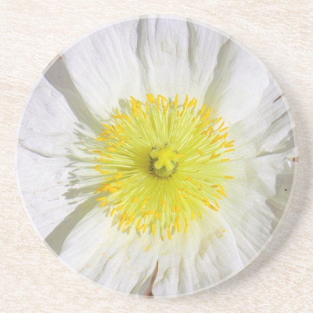 Porta-copos Perfeitamente Poppy (Frente)