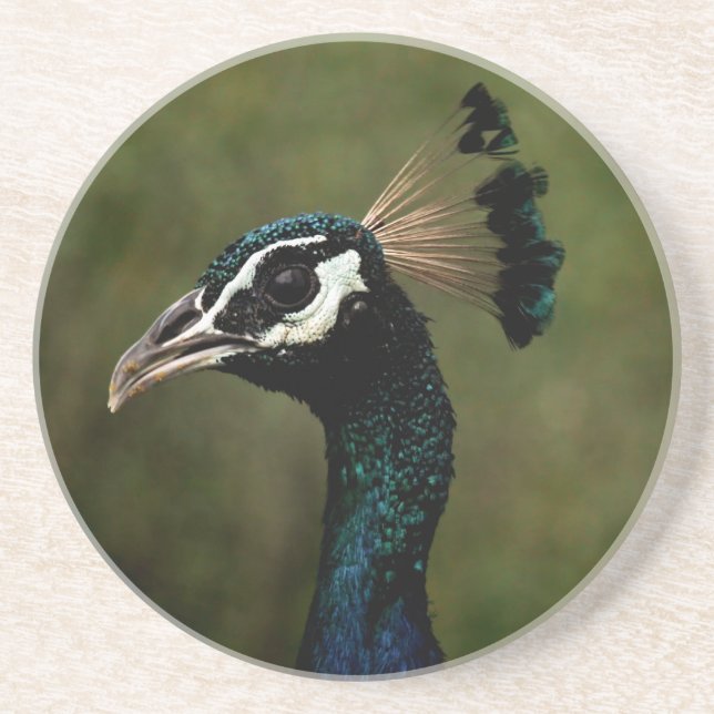 Porta-copos Perfil de Peacock (Frente)