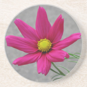 Porta copos personalizada do Flor Rosa
