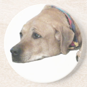 Porta-copos Pet Ridgeback Dog Picture