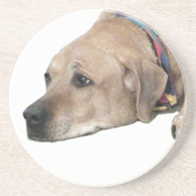 Porta-copos Pet Ridgeback Dog Picture (Frente)