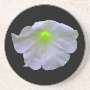 Porta-copos Petunia Green Glow Portas copos