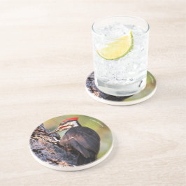 Porta-copos Pica-pau pileado bonito na árvore