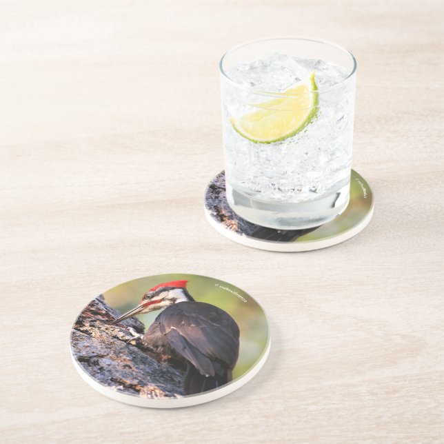 Porta-copos Pica-pau pileado bonito na árvore (Lateral)