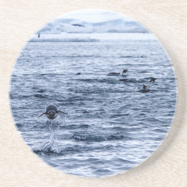 Porta-copos Pinguim voador (Frente)