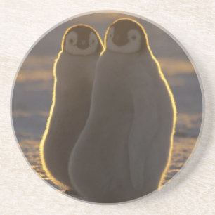 Porta-copos Pinguins-imperadores
