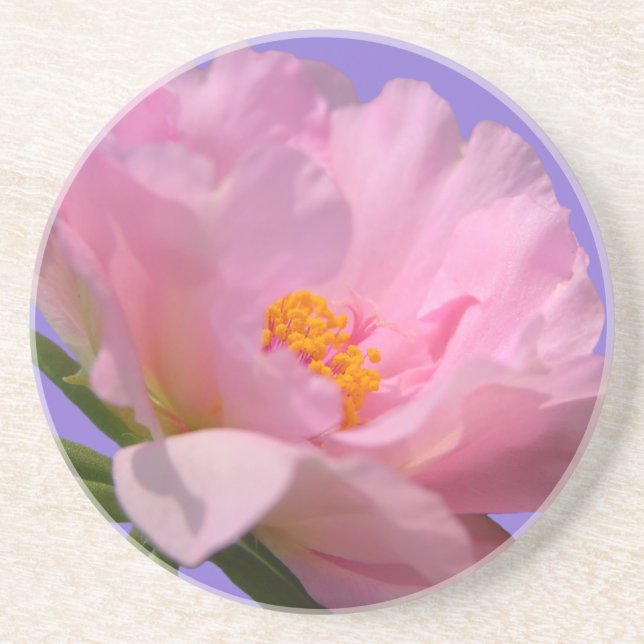 Porta-copos Pink Peony Sandstone Coaster (Frente)