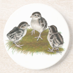 Porta-copos Pintinhos de Chukar Partridge
