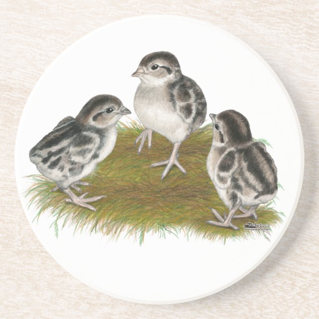 Porta-copos Pintinhos de Chukar Partridge (Frente)