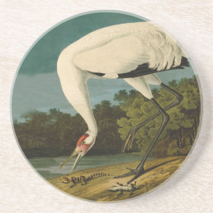Porta-copos Pintura de pássaros Audubon Crane Whoping