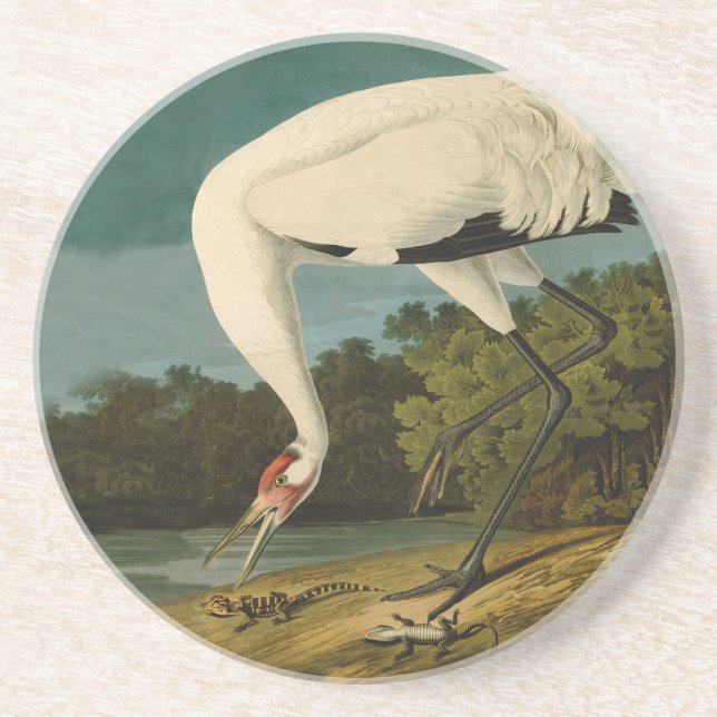 Porta-copos Pintura de pássaros Audubon Crane Whoping (Frente)