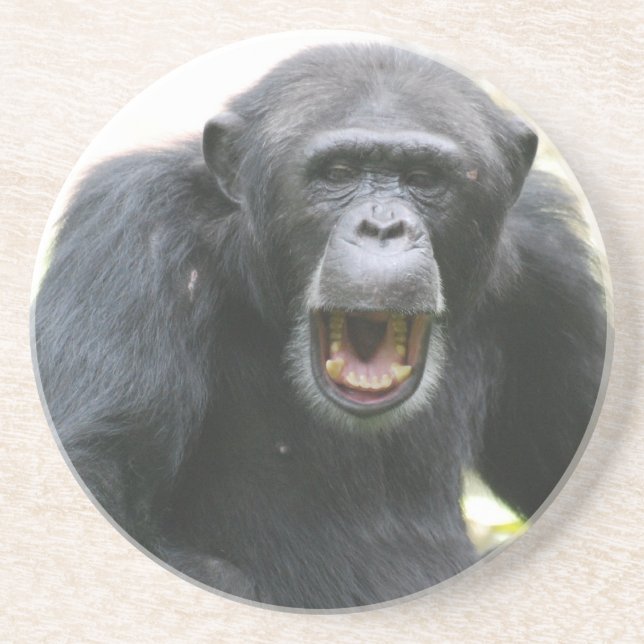 Porta-copos Placa Chatty do chimpanzé (Frente)