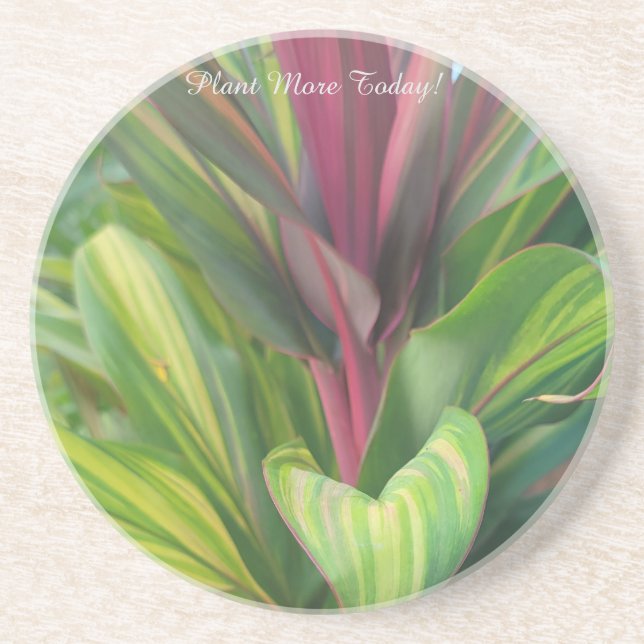 Porta-copos Planta mais (Frente)