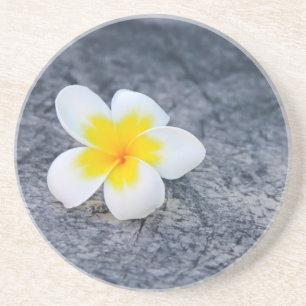 Porta-copos Plumeria