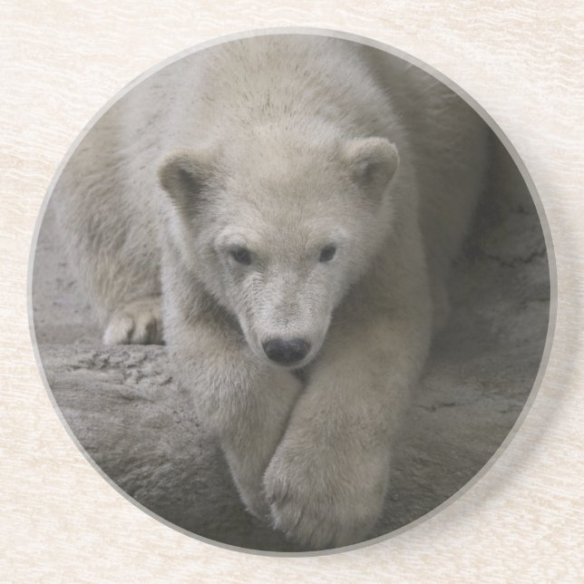 porta copos polar (Frente)