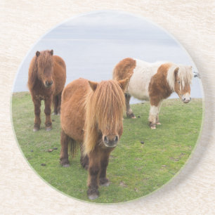 Porta-copos Pônei Shetland em Pastagem Perto de Falésias Altas