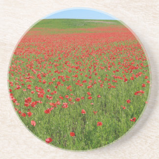 Porta-copos Poppies vivos!