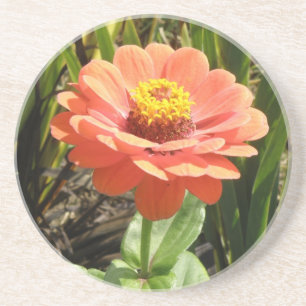 Porta-copos Portas copos de Flor Zinnia Laranja