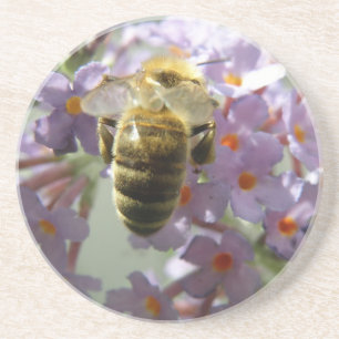Porta-copos Portas copos de Honeybee e Buddleia