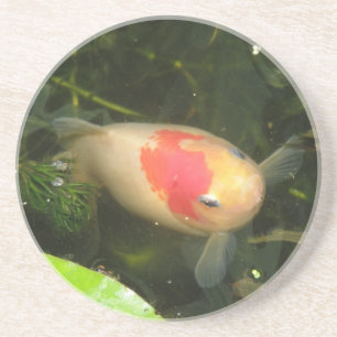 Porta-copos Portas copos Goldfish
