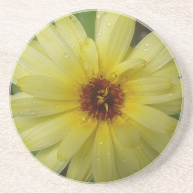 Porta-copos Portas copos Marigold de Gotas Amarelas (Frente)