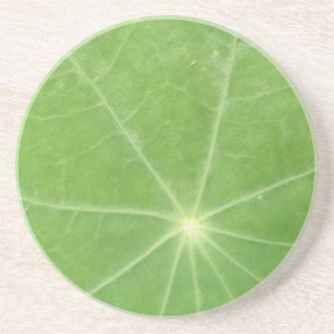 Porta-copos Portas copos Nasturtium Leaf