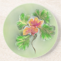 Portas copos Sandstone