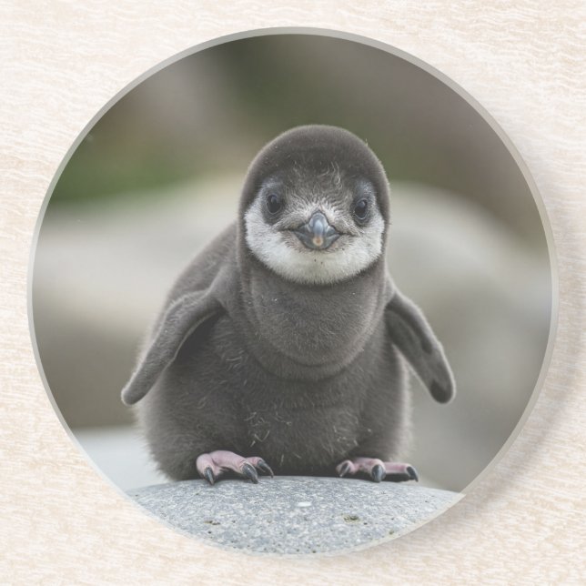 Porta-copos Pousa Copos de Papel de Mármore Branco Simples Mod (Frente)